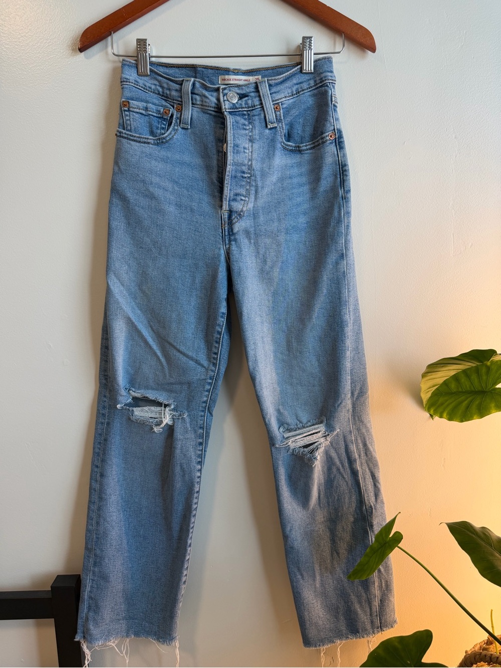 Levi's Ribcage Light Blue Straight Leg ankle Distressed Jeans 25